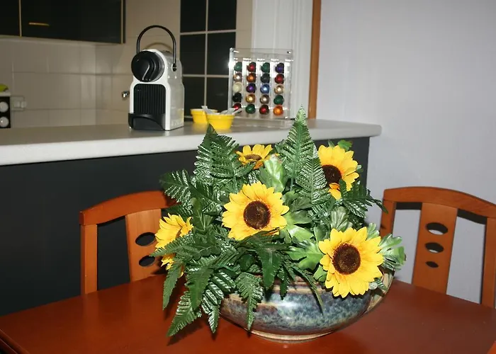 Fabiola Zentro Saragossa